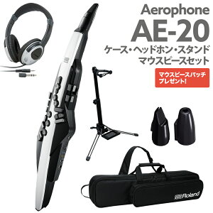 Roland AE-20 P[X wbhz pX^h p}EXs[XZbg GAtH EChVZTCU[ [h
