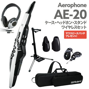 Roland AE-20 P[X wbhz pX^h CX p}EXs[XZbg GAtH EChVZTCU[ [h