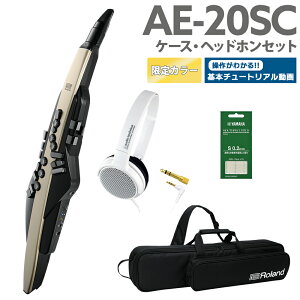 [t] Roland AE-20SC P[X wbhzZbg yS[hJ[ 32ǉ GAtH EChVZTCU[ [h