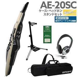 [t] Roland AE-20SC P[X wbhz pX^hZbg yS[hJ[ 32ǉ GAtH EChVZTCU[ [h