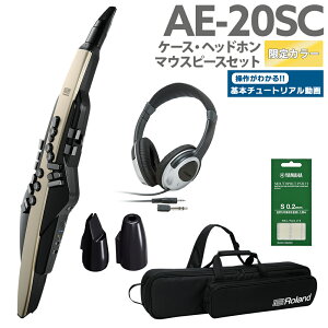 [t] Roland AE-20SC P[X wbhz p}EXXs[XZbg yS[hJ[ 32ǉ GAtH EChVZTCU[ [h