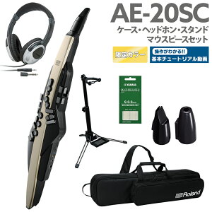 [t] Roland AE-20SC P[X wbhz pX^h p}EXs[XZbg yS[hJ[ 32ǉ GAtH EChVZTCU[ [h