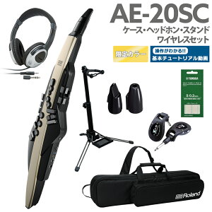 [t] Roland AE-20SC P[X wbhz pX^h CX p}EXs[XZbg yS[hJ[ 32ǉ GAtH EChVZTCU[ [