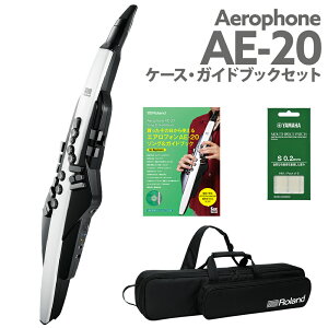 Roland AE-20 P[X KChubNZbg GAtH EChVZTCU[ [h
