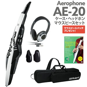 Roland AE-20 P[X wbhz p}EXXs[X KChubNZbg GAtH EChVZTCU[ [h