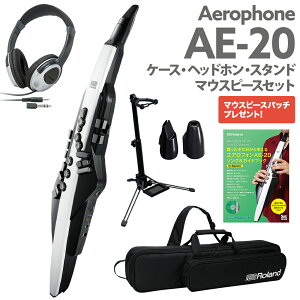 Roland AE-20 P[X wbhz pX^h p}EXs[X KChubN Zbg GAtH EChVZTCU[ [h