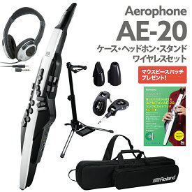 Roland AE-20 ケース ヘッドホン 専用スタンド ワイヤレス 交換用マウスピース ガイドブック セット エアロフォン ウインドシンセサイザー ローランド