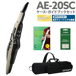 [t] Roland AE-20SC P[X KChubNZbg yS[hJ[ 32ǉ GAtH EChVZTCU[ [h