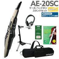 [教則動画付き] Roland AE-20SC ケース ヘッドホン 専用スタンド ガイドブックセット 島村楽器限定ゴール…