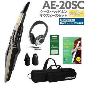 [t] Roland AE-20SC P[X wbhz p}EXXs[X KChubN Zbg yS[hJ[ 32ǉ GAtH EChVZTCU[ [h