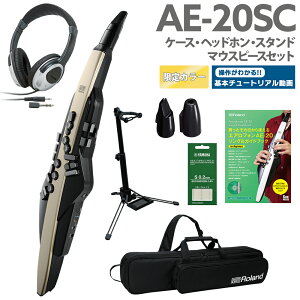 [t] Roland AE-20SC P[X wbhz pX^h p}EXs[X KChubN Zbg yS[hJ[ 32ǉ GAtH EChVZTCU[ [