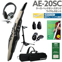 楽天市場】エアロフォン ae-20 島村楽器の通販