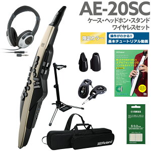 [t] Roland AE-20SC P[Xwbhz pX^h CX p}EXs[X KChubN yS[hJ[ 32ǉ GAtH EChVZTCU[ 