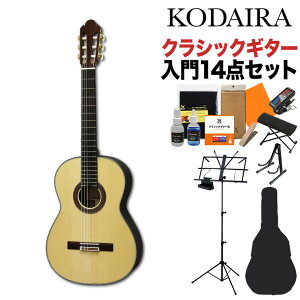 KODAIRA AST-100L NVbNM^[S14_Zbg 630mm V[gXP[ P^[YEbh M^[ R_C
