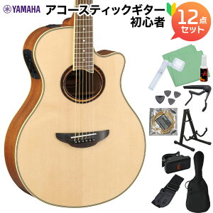 YAMAHA APX700II NT AR[XeBbNM^[S12_Zbg GARM^[ i` }n