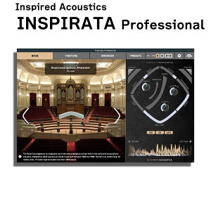 yyVX[p[SALE Gg[P5{z Inspired Acoustics Inspirata Professional Edition CXpCA[hAR[Xe [[[i s]