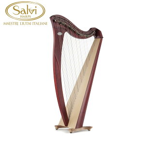 Salvi HARPS MIA ~A (}zKj[) BioCarbon 34X^_[hf n[v o[n[v G TBn[v