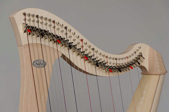 楽天市場】【20日と25日はエントリーでさらにP5倍】Salvi HARPS MIA 