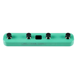 MOOER GWF4 Green CXtbgXCb` GTRSEPrime P1Ή [A