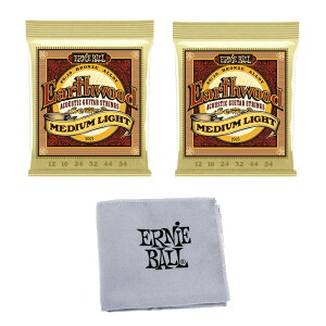 ERNiE BALL P02003EWML 2P+P04220 80/20uY 12-54 ~fBACg 2pbN+NXZbg A[j[{[ AR[XeBbNM^[ 2pbNyʌiz