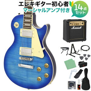 Blitz by AriaProII BLP-450 SBL GLM^[S14_Zbgy}[VAvtz X|[X^_[h V[X[u[ ubc BLP450 yS҃Zbgz