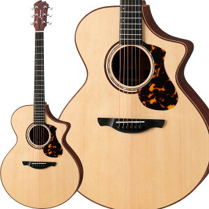 James J-900/C Natural L.R.Baggs PUڃGAR I[P I[fBgATCY AR[XeBbNM^[ WF[X