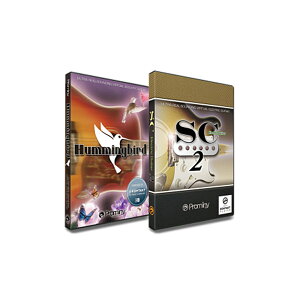 [ʌ] Prominy SC Electric Guitar2 (SC2) & Hummingbird XyVoh v~j[