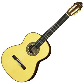 Esteve 12 Spr クラシックギター 650mm 松単板／グラナディロ単板 エステベ