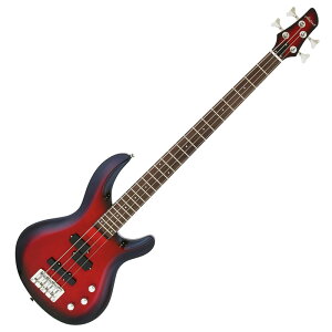 AriaProII IGB-STD MRS GLx[X PJ^Cv AAv2