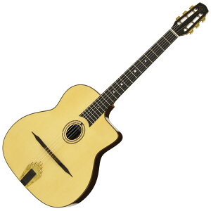 ARIA MM-100/O AR[XeBbNM^[ }JtFX^CM^[ AA