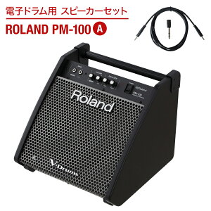 Roland dqhp Xs[J[Zbg PM-100 A yqłɉoz [h Xs[J[&P[uZbg dssp_typeA