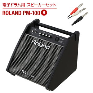 Roland �d�q�h�����p �X�s�[�J�[�Z�b�g PM-100 B �y�q���ł����ɉ����o����z ���[�����h �X�s�[�J�[&�P�[�u���Z�b�g dssp_typeB