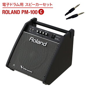 Roland dqhp Xs[J[Zbg PM-100 C yqłɉoz [h Xs[J[&P[uZbg dssp_typeC