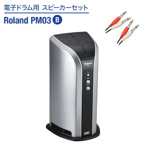 Roland �d�q�h�����p �X�s�[�J�[�Z�b�g PM03 B �y�q���ł����ɉ����o����z ���[�����h �X�s�[�J�[&�P�[�u���Z�b�g dssp_typeB