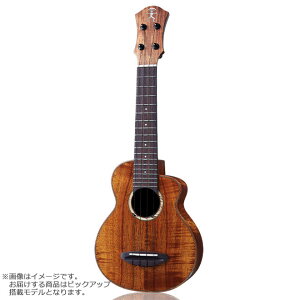 aNueNue US1KE \vmEN sbNAbv 2A Koa Bird Ukulele GLEN AkGkG aNN-US1KE