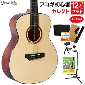 Gopher Wood Guitars i110s アコースティックギター 教本付きセレクト12点セット 初心者セット ミニギター GSミニサイズ ゴフェルウッドギターズ