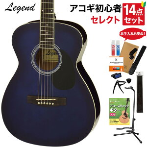 LEGEND FG-15 Blue Shade AR[XeBbNM^[ {EpitZNg14_Zbg S҃Zbg OOOTCY WFh