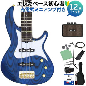 AriaProII RSB-42AR/5 SBL 5���x�[�X���S��12�_�Z�b�g �y�[�d���~�j�A���v�t�z �A���A�v��2 �y���S�҃Z�b�g�z