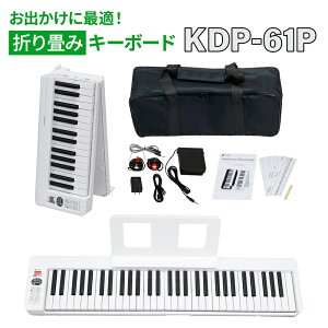 KIKUTANI KDP-61P 61 LN^j ܂肽ݎdqsAm