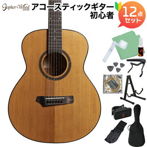 Gopher Wood Guitars i210RS AR[XeBbNM^[S12_Zbg [XebhXv[XP ~jM^[ GSTCY StFEbhM^[Y