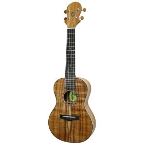 Big Island KM-CTG �R���T�[�g�E�N���� KM Modernish Series �r�b�O�A�C�����h