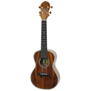 �y�G���g���[�ōő�10���|�C���g������zBig Island KX-CTG �R���T�[�g�E�N���� KX Deluxe Series �r�b�O�A�C�����h