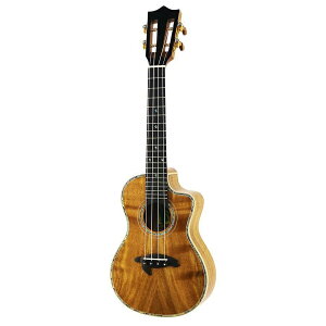 �y�G���g���[�ōő�10���|�C���g������zBig Island KSX-CTG �R���T�[�g�E�N���� KSX Deluxe Series �r�b�O�A�C�����h