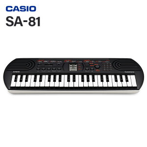 yʔbsO܂z CASIO SA-81 ~jL[{[h 44 JVI SA76 pf
