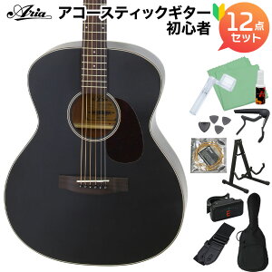ARIA Aria-101 MTBK AR[XeBbNM^[S҃Zbg12_Zbg }bgubN  h AA