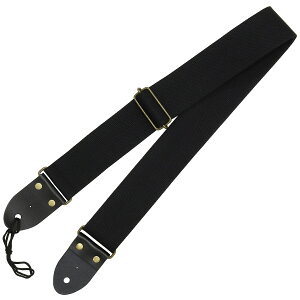 ARIA SPS-2000 BK ubN M^[Xgbv z VvfUC AA