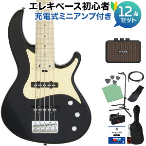 AriaProII RSB-618/5 BK 5x[XS12_Zbgy[d~jAvtz WYx[X^Cv AAv2 yS҃Zbgz