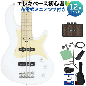 AriaProII RSB-618/5 WH 5x[XS12_Zbgy[d~jAvtz WYx[X^Cv AAv2 yS҃Zbgz