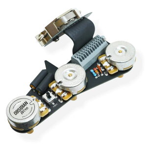 OBSIDIAN Wire CUSTOM HSS / HSH FOR STRAT GEN2 Standard sbNAbv IuVfBAC[