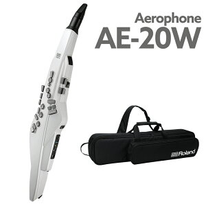 Roland AE-20W GAtH EChVZTCU[ 2023NVf VJ[ [h